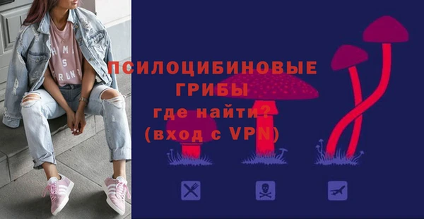 соль курить ск Белокуриха