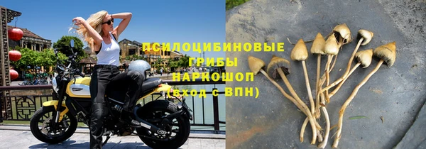 соль курить ск Белокуриха
