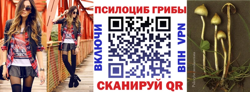 Псилоцибиновые грибы GOLDEN TEACHER  Купить где  Каргат 