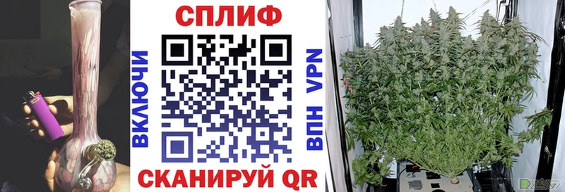 Канабис SATIVA & INDICA Каргат